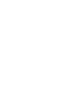 Shijin 四神