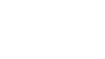 Hawk 鷹