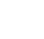 Dragon 龍