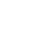 Squirrel 栗鼠