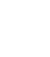 Squirrel 栗鼠