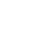 Mandarin Duck 鴛鴦