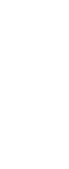 Rabbit in Moonlight 月夜に兎