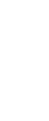 Ukiyo-e Courtesan 浮世絵 花魁