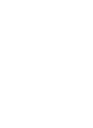 Fall Flowers 秋草