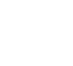 Cormorant 鵜