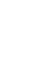 Cormorant 鵜