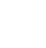 Ginkgo 銀杏